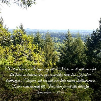 Picture 03 - Apostlagärningarna 8:27 SV1917 - Då stod han upp och begav sig åstad. Och se, en - Bible Verse Picture