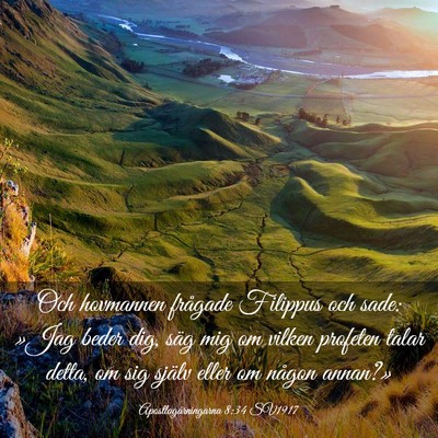 Picture 03 - Apostlagärningarna 8:34 SV1917 - Och hovmannen frågade Filippus och sade: »Jag - Bible Verse Picture