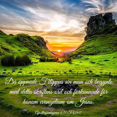 Picture 03 - Apostlagärningarna 8:35 SV1917 - Då öppnade Filippus sin mun och begynte med - Bible Verse Picture