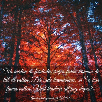 Picture 03 - Apostlagärningarna 8:36 SV1917 - Och medan de färdades vägen fram, kommo de till - Bible Verse Picture