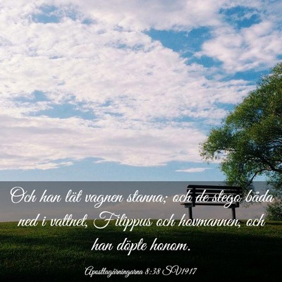Picture 03 - Apostlagärningarna 8:38 SV1917 - Och han lät vagnen stanna; och de stego båda - Bible Verse Picture