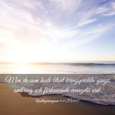 Picture 03 - Apostlagärningarna 8:4 SV1917 - Men de som hade blivit kringspridda gingo omkring - Bible Verse Picture