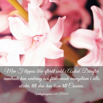Picture 03 - Apostlagärningarna 8:40 SV1917 - Men Filippus blev efteråt sedd i Asdod. - Bible Verse Picture
