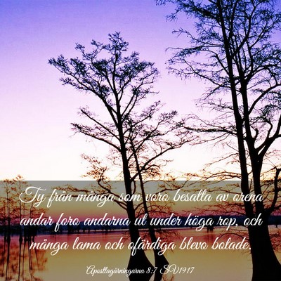 Picture 03 - Apostlagärningarna 8:7 SV1917 - Ty från många som voro besatta av orena andar - Bible Verse Picture