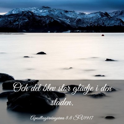 Picture 03 - Apostlagärningarna 8:8 SV1917 - Och det blev stor glädje i den - Bible Verse Picture