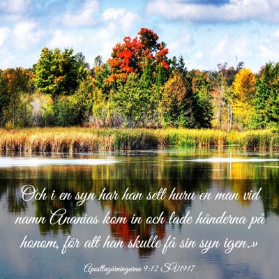 Picture 03 - Apostlagärningarna 9:12 SV1917 - Och i en syn har han sett huru en man vid namn - Bible Verse Picture