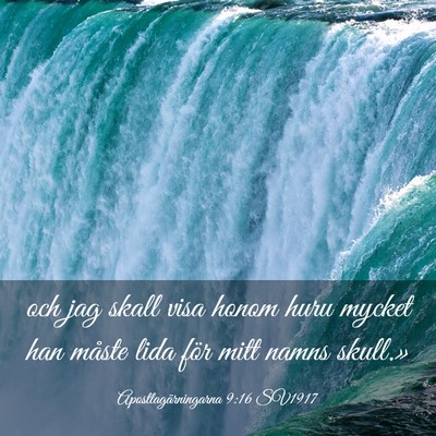 Picture 03 - Apostlagärningarna 9:16 SV1917 - och jag skall visa honom huru mycket han måste - Bible Verse Picture