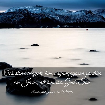 Picture 03 - Apostlagärningarna 9:20 SV1917 - Och strax begynte han i synagogorna predika om - Bible Verse Picture