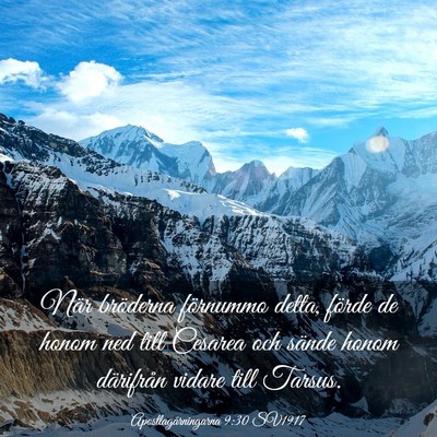 Picture 03 - Apostlagärningarna 9:30 SV1917 - När bröderna förnummo detta, förde de honom - Bible Verse Picture