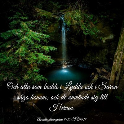 Picture 03 - Apostlagärningarna 9:35 SV1917 - Och alla som bodde i Lydda och i Saron sågo - Bible Verse Picture