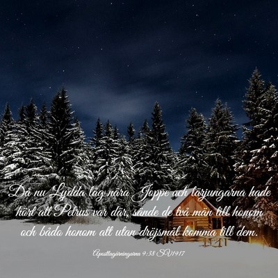 Picture 03 - Apostlagärningarna 9:38 SV1917 - Då nu Lydda låg nära Joppe och lärjungarna - Bible Verse Picture