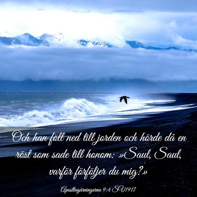Picture 03 - Apostlagärningarna 9:4 SV1917 - Och han föll ned till jorden och hörde då en - Bible Verse Picture
