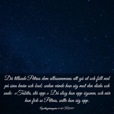 Picture 03 - Apostlagärningarna 9:40 SV1917 - Då tillsade Petrus dem allasammans att gå ut - Bible Verse Picture