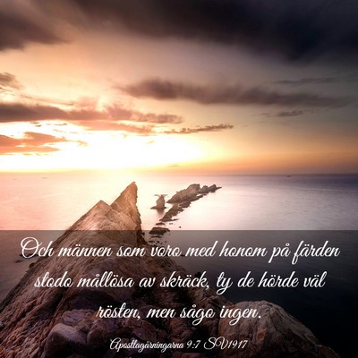 Picture 03 - Apostlagärningarna 9:7 SV1917 - Och männen som voro med honom på färden stodo - Bible Verse Picture