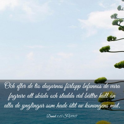 Picture 03 - Daniel 1:15 SV1917 - Och efter de tio dagarnas förlopp befunnos de - Bible Verse Picture