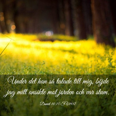 Picture 03 - Daniel 10:15 SV1917 - Under det han så talade till mig, böjde jag - Bible Verse Picture