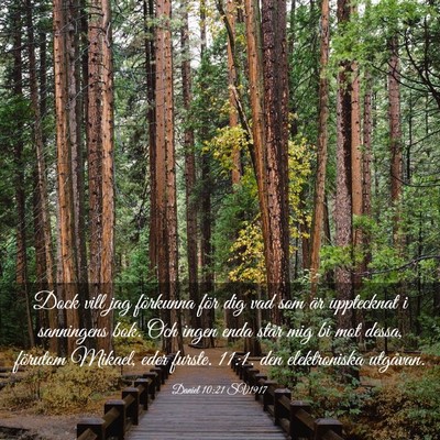 Picture 03 - Daniel 10:21 SV1917 - Dock vill jag förkunna för dig vad som är - Bible Verse Picture