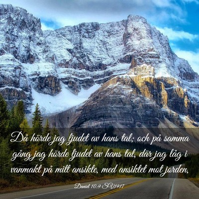 Picture 03 - Daniel 10:9 SV1917 - Då hörde jag ljudet av hans tal; och på samma - Bible Verse Picture