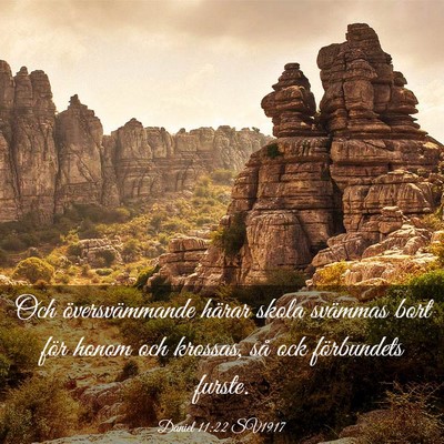 Picture 03 - Daniel 11:22 SV1917 - Och översvämmande härar skola svämmas bort - Bible Verse Picture