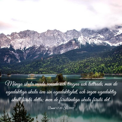 Picture 03 - Daniel 12:10 SV1917 - Många skola varda renade och tvagna och - Bible Verse Picture