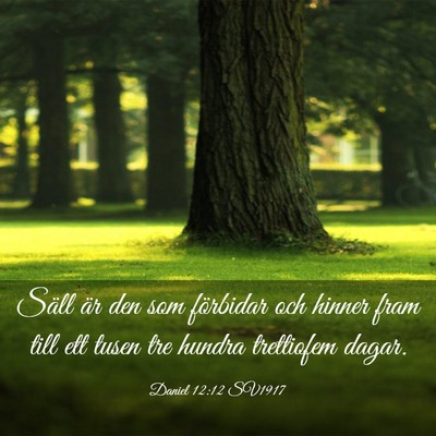 Picture 03 - Daniel 12:12 SV1917 - Säll är den som förbidar och hinner fram till - Bible Verse Picture