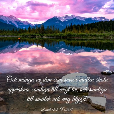Picture 03 - Daniel 12:2 SV1917 - Och många av dem som sova i mullen skola - Bible Verse Picture