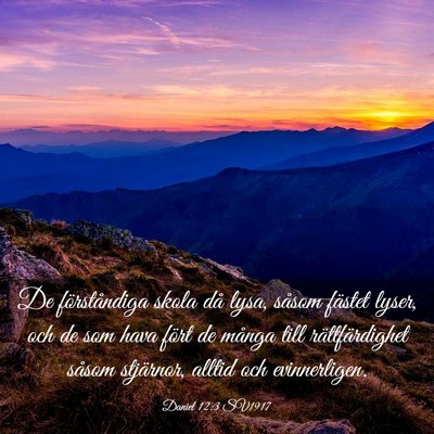 Picture 03 - Daniel 12:3 SV1917 - De förståndiga skola då lysa, såsom fästet - Bible Verse Picture