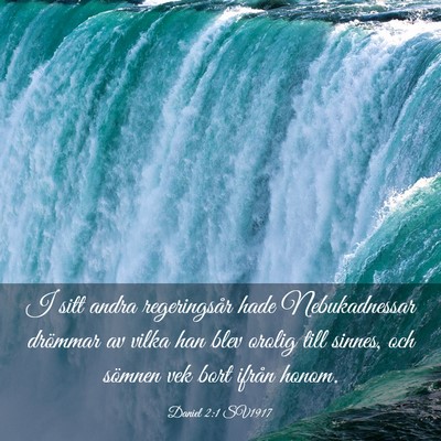 Picture 03 - Daniel 2:1 SV1917 - I sitt andra regeringsår hade Nebukadnessar - Bible Verse Picture
