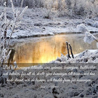 Picture 03 - Daniel 2:2 SV1917 - Då lät konungen tillkalla sina spåmän, - Bible Verse Picture