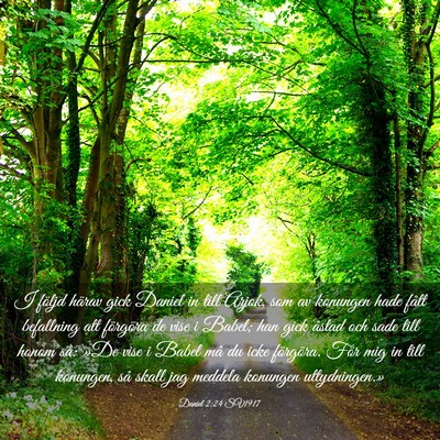 Picture 03 - Daniel 2:24 SV1917 - I följd härav gick Daniel in till Arjok, som av - Bible Verse Picture