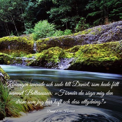 Picture 03 - Daniel 2:26 SV1917 - Konungen svarade och sade till Daniel, som hade - Bible Verse Picture