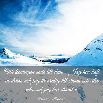 Picture 03 - Daniel 2:3 SV1917 - Och konungen sade till dem: »Jag har haft en - Bible Verse Picture