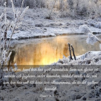 Picture 03 - Daniel 2:38 SV1917 - och i vilkens hand han har givit människors barn - Bible Verse Picture
