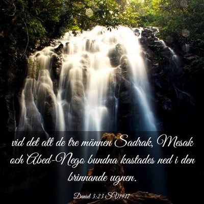 Picture 03 - Daniel 3:23 SV1917 - vid det att de tre männen Sadrak, Mesak och - Bible Verse Picture