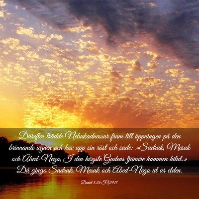 Picture 03 - Daniel 3:26 SV1917 - Därefter trädde Nebukadnessar fram till - Bible Verse Picture