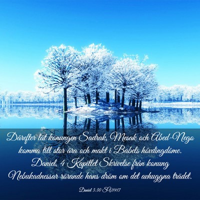 Picture 03 - Daniel 3:30 SV1917 - Därefter lät konungen Sadrak, Mesak och - Bible Verse Picture