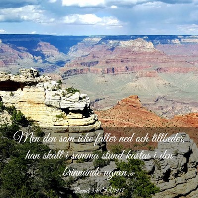Picture 03 - Daniel 3:6 SV1917 - Men den som icke faller ned och tillbeder, han - Bible Verse Picture