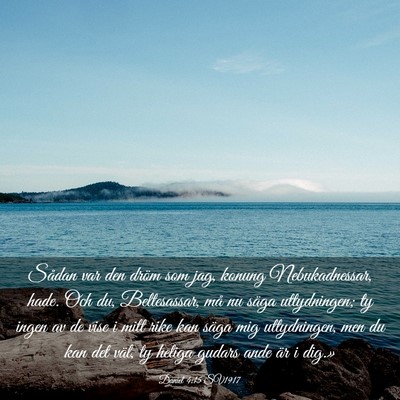 Picture 03 - Daniel 4:15 SV1917 - Sådan var den dröm som jag, konung - Bible Verse Picture