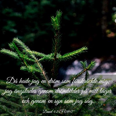 Picture 03 - Daniel 4:2 SV1917 - Då hade jag en dröm som förskräckte mig; jag - Bible Verse Picture