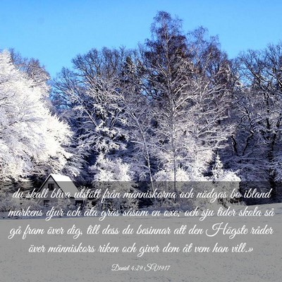 Picture 03 - Daniel 4:29 SV1917 - du skall bliva utstött från människorna och - Bible Verse Picture
