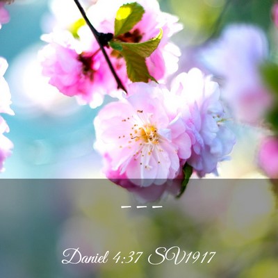 Picture 03 - Daniel 4:37 SV1917 -  - Bible Verse Picture