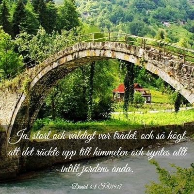 Picture 03 - Daniel 4:8 SV1917 - Ja, stort och väldigt var trädet, och så högt - Bible Verse Picture