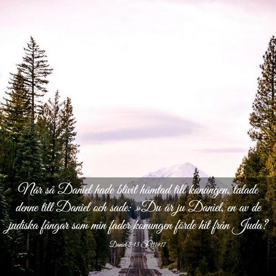 Picture 03 - Daniel 5:13 SV1917 - När så Daniel hade blivit hämtad till - Bible Verse Picture
