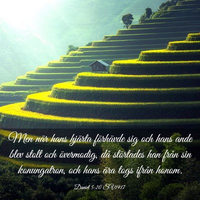 Picture 03 - Daniel 5:20 SV1917 - Men när hans hjärta förhävde sig och hans - Bible Verse Picture