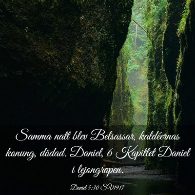 Picture 03 - Daniel 5:30 SV1917 - Samma natt blev Belsassar, kaldéernas konung, - Bible Verse Picture