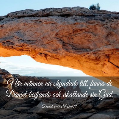 Picture 03 - Daniel 6:11 SV1917 - När männen nu skyndade till, funno de Daniel - Bible Verse Picture