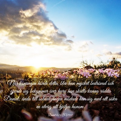 Picture 03 - Daniel 6:14 SV1917 - När konungen hörde detta, blev han mycket - Bible Verse Picture