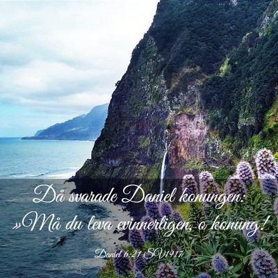 Picture 03 - Daniel 6:21 SV1917 - Då svarade Daniel konungen: »Må du leva - Bible Verse Picture
