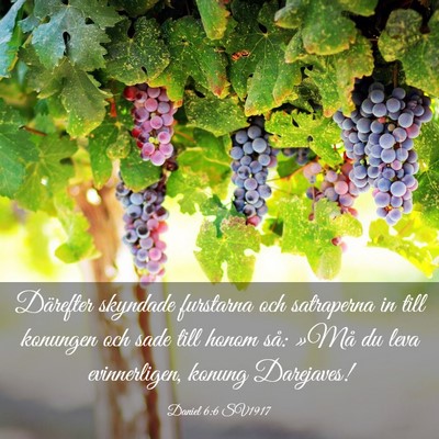 Picture 03 - Daniel 6:6 SV1917 - Därefter skyndade furstarna och satraperna in - Bible Verse Picture