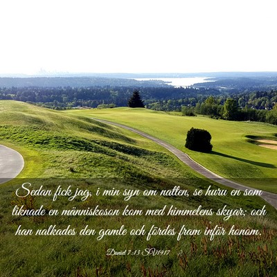 Picture 03 - Daniel 7:13 SV1917 - Sedan fick jag, i min syn om natten, se huru en - Bible Verse Picture